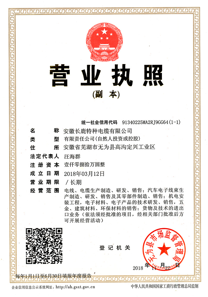 廣東營業執照副本